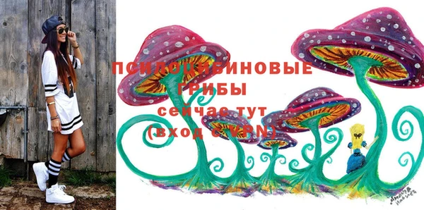 Альфа ПВП Нея