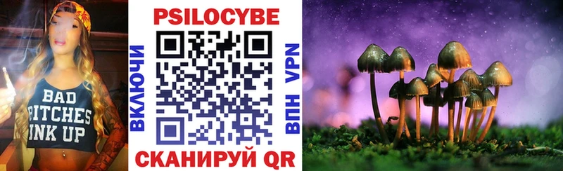 Псилоцибиновые грибы MAGIC MUSHROOMS  нарко площадка состав  Новочебоксарск  hydra как войти 