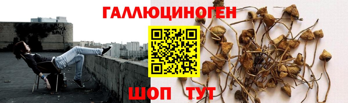 Псилоцибиновые грибы мухоморы  Новочебоксарск 