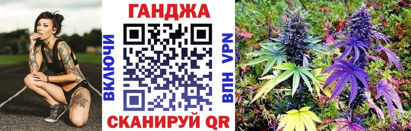 Конопля сатива  Новочебоксарск 